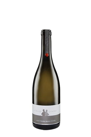 2020er Sauvignon BlancFumé trockenWerk 7