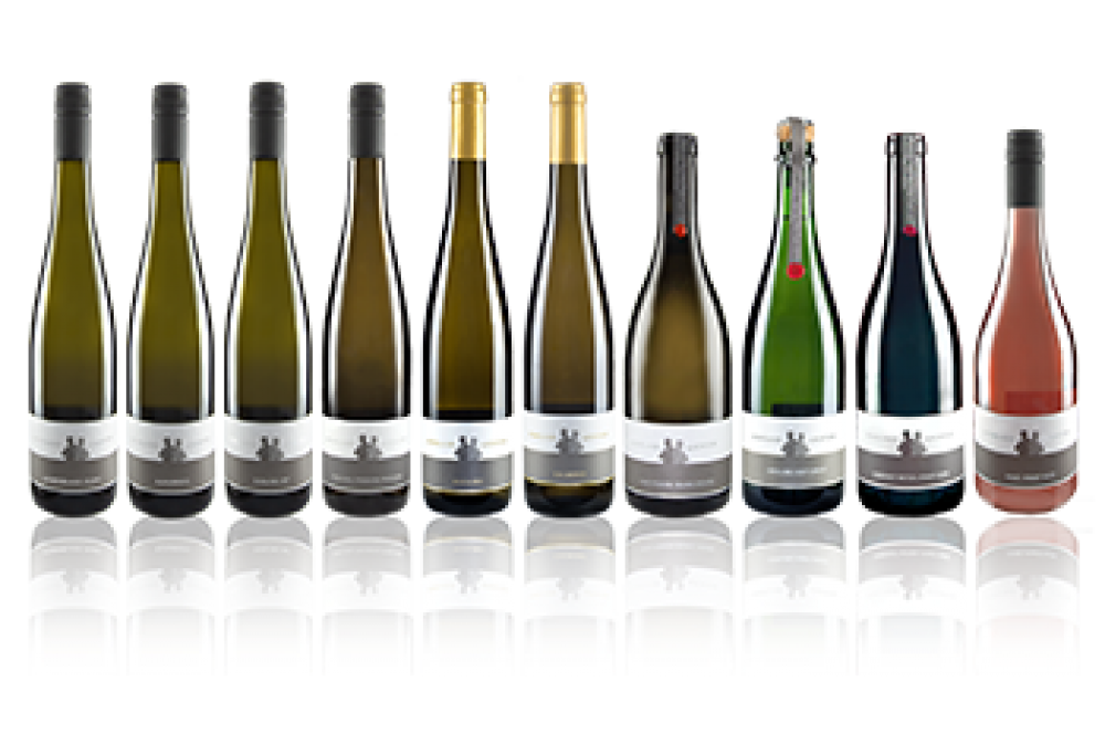 2019er Felsenterrasse Riesling trocken