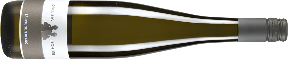 2021 SAUVIGNON BLANC TROCKEN (WERK 12)