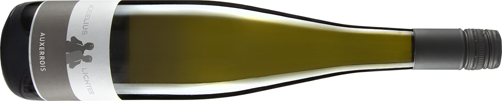 2019er Felsenterrasse Riesling trocken